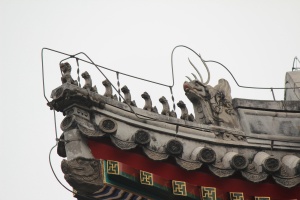 IMG_8861.JPG